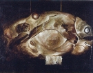 Pesce fossile, 1962 - cm.100x70, Tempera su tavola