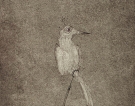 L\'ultimo esemplare, 1978 - cm.50x70, Tempera su tavola