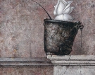 Rosa, 1981 - cm.34x24, Tempera su tavola