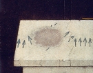 Gutta, 1982 - cm.24x34, Tempera su tavola